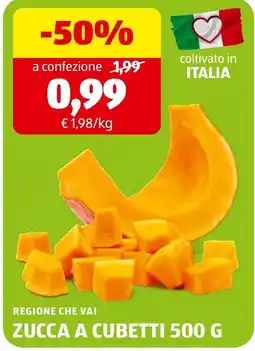 ALDI Zucca a cubetti offerta