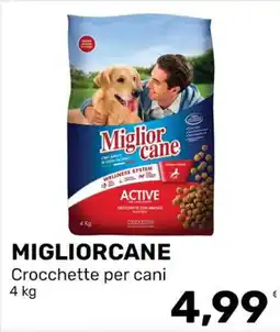 Iper Tosano Miglior cane Crocchette per cani offerta