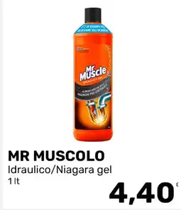 Iper Tosano Mr Muscle Idraulico gel offerta