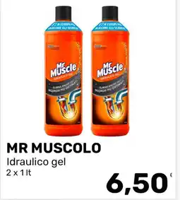 Iper Tosano Mr Muscle Idraulico gel offerta