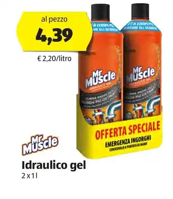 ALDI Mr Muscle Idraulico gel 2x1l offerta