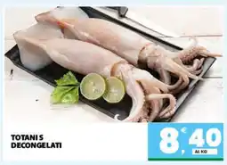 Eurospar TOTANI S DECONGELATI offerta