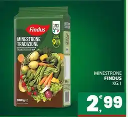 Eurospar Minestrone FINDUS offerta