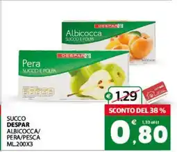 Eurospar SUCCO DESPAR offerta