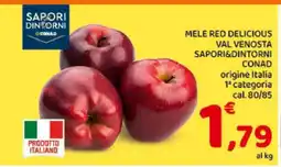 Conad MELE RED DELICIOUS VAL VENOSTA offerta