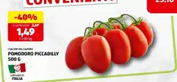 ALDI Pomodoro Piccadilly offerta