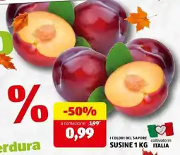 ALDI SUSINE 1 KG offerta