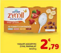Conad YOGURT ASSORTITO ZYMIL PARMALAT offerta