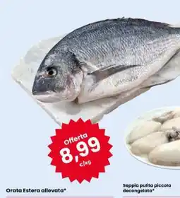 Eurospar Orata Estera allevata offerta