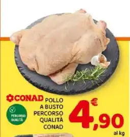 Conad CONAD POLLO A BUSTO PERCORSO QUALITÀ CONAD offerta