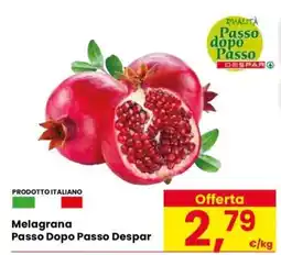 Eurospar Melagrana offerta
