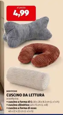 ALDI NOVITESSE CUSCINO DA LETTURA offerta