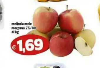 Il Castoro Supermercati Mele morgana offerta
