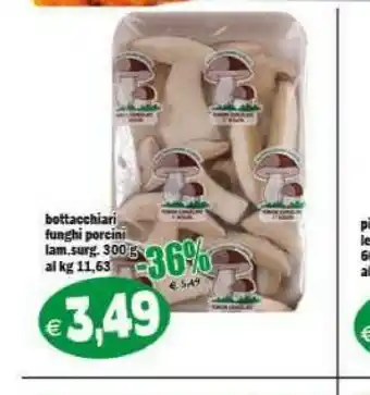 Bottacchiari funghi porcini