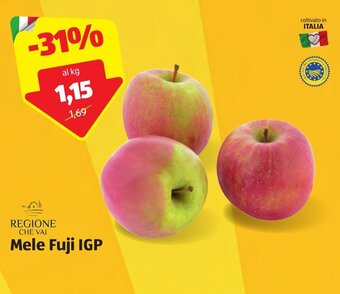 ALDI Mele Fuji IGP offerta