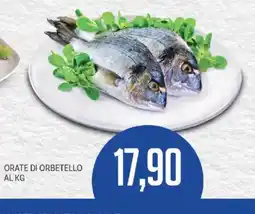 Supermercati Piccolo Orate di Orbetello offerta