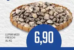 Supermercati Piccolo Lupini medi freschi offerta