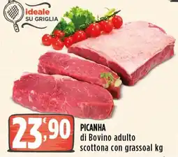 Rossotono Carrefour Piccanha di Bovino adulto offerta