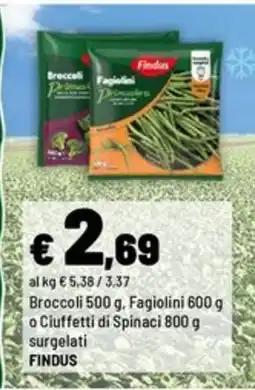 Iper La Grande Fagiolini Findus offerta