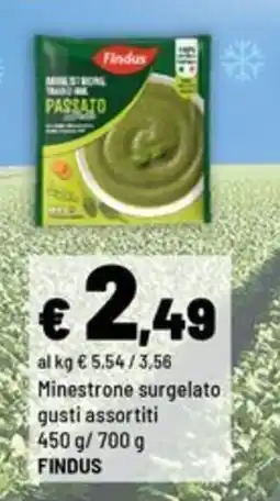Iper La Grande Minestrone surgelato Findus offerta