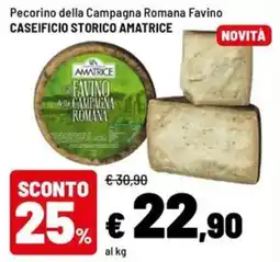 Iper La Grande Pecorino della Campagna Romana Favino offerta
