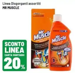 Iper La Grande Disgorganti assortiti Mr Muscle offerta
