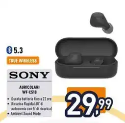 Iper La Grande Sony Auricolari WF-C510 offerta
