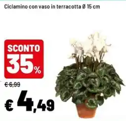 Iper La Grande Ciclamino con vaso in terracotta offerta
