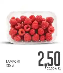 Supermercati Piccolo Lamponi offerta