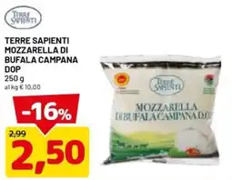 DPiù Terre Sapienti Mozzarella di Bufala Campana DOP offerta