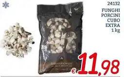 Zona Funghi porcini cubo extra offerta