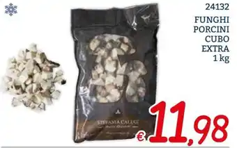 Funghi porcini cubo extra
