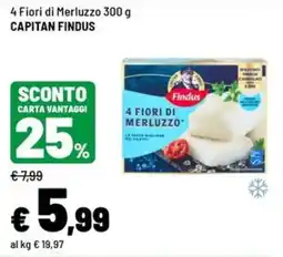 Iper La Grande 4 Fiori di Merluzzo Findus offerta
