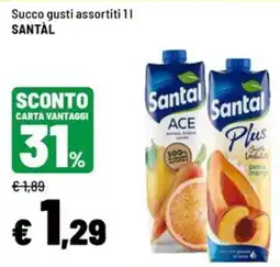 Iper La Grande Succo gusti assortiti Santal offerta