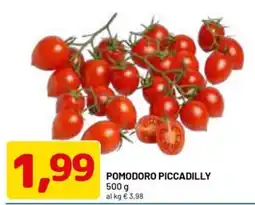DPiù Pomodoro Piccadilly offerta
