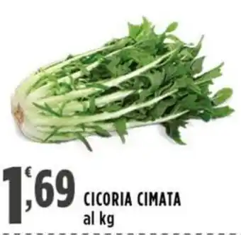 Rossotono Carrefour Cicoria cimata offerta