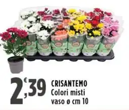 Rossotono Carrefour Crisantemo offerta