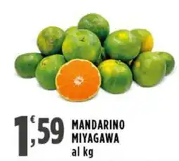 Rossotono Carrefour Mandarino Miyagawa offerta