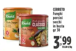 Rossotono Carrefour Knorr Porcini secchi offerta
