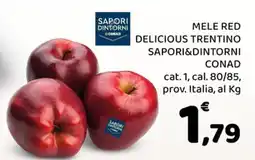 Conad City Mele red delicious trentino offerta