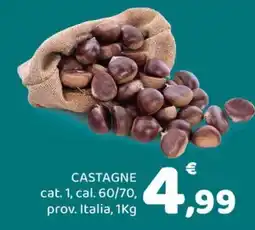 Conad City Castagne offerta