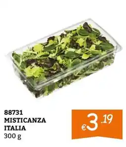 Zona Misticanza Italia offerta