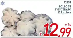 Zona Polpo T6 eviscerato offerta