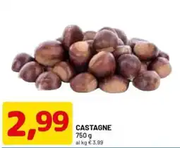 DPiù Castagne offerta