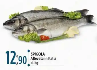Rossotono Carrefour Spigola offerta