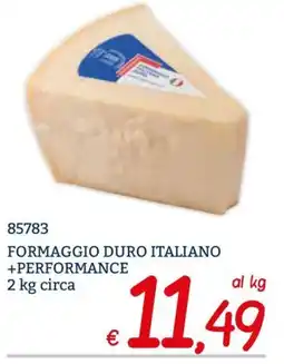 Zona Formaggio duro italiano +performance offerta