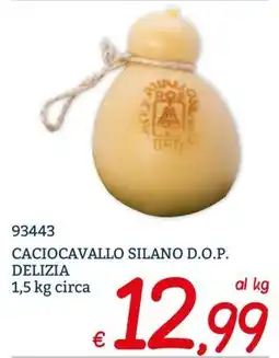 Zona Caciocavallo Silano D.O.P. Delizia offerta