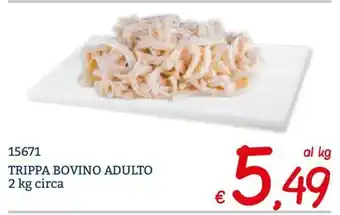Trippa bovino adulto
