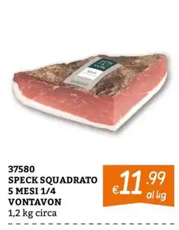 Zona Speck squadrato Vontavon offerta