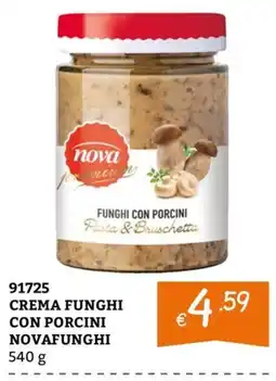 Zona Crema funghi con porcini Novafunghi offerta